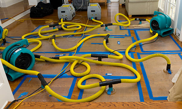 Professional Burst Pipe Water Damage technician working in Burlington, ND